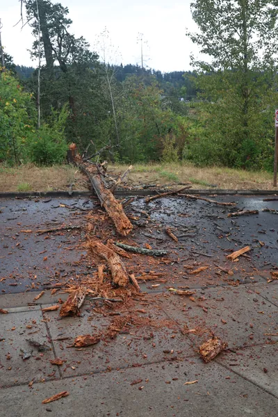 Broken wood and branches spread across the roadway.
