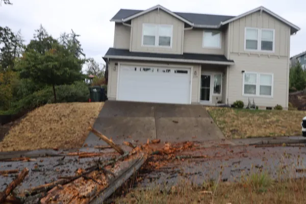 The blocked street and nearby house seen from farther up the slope.