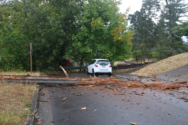 The road obstruction viewed from the center of the street.