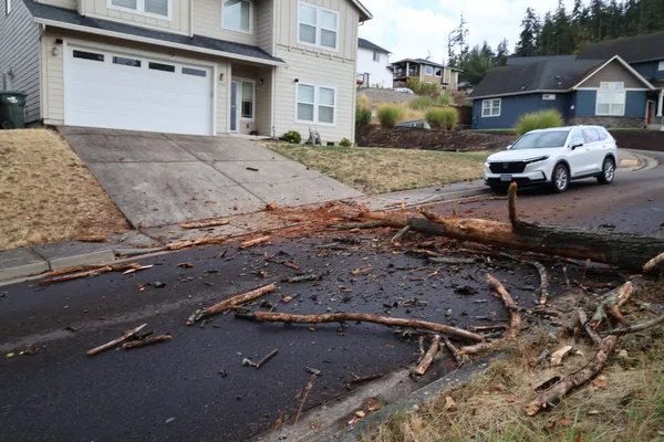 The debris field spread across the wet pavement.