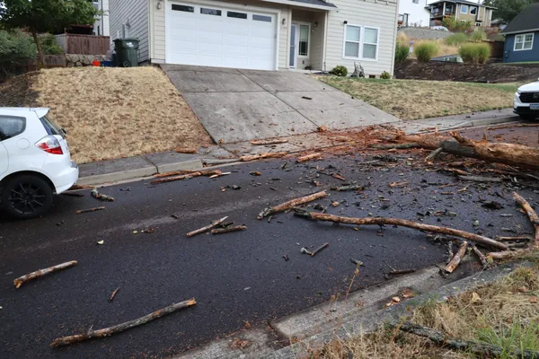 The blocked roadway viewed between nearby driveways.