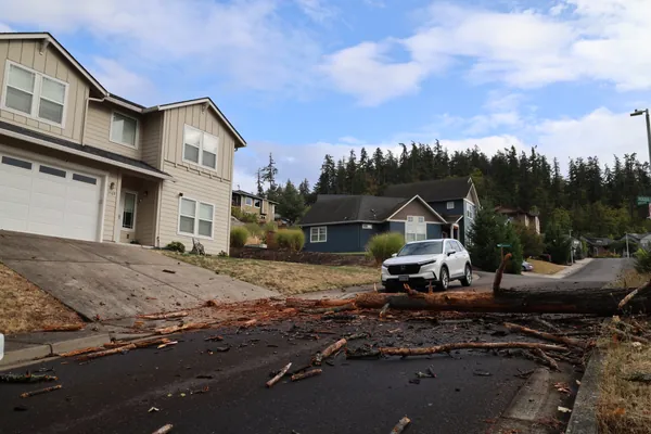 A wide view of the trunk between the houses on either side of the street.