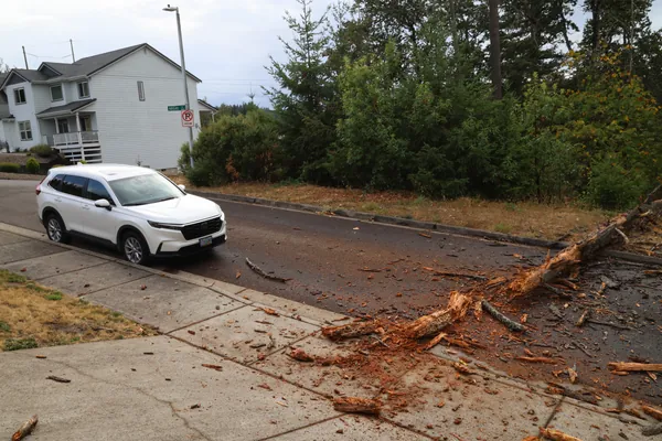The obstruction seen from the sidewalk beside a parked car.