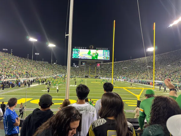 A wide view of the end zone during play.