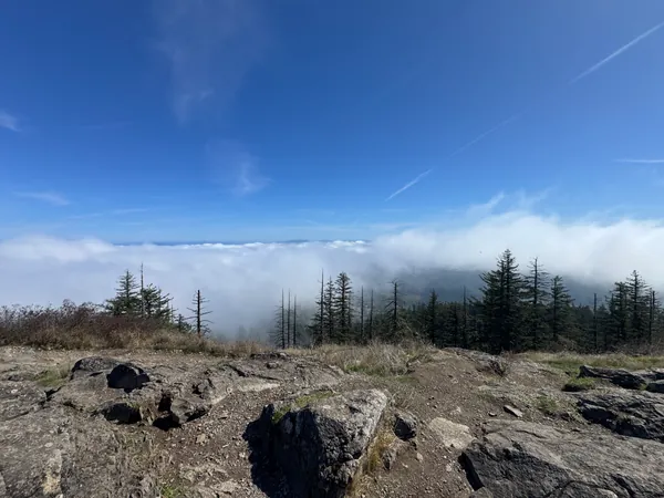 A rocky mountain overlook above a layer of clouds.