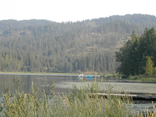 The lake and forested hills from the shoreline.