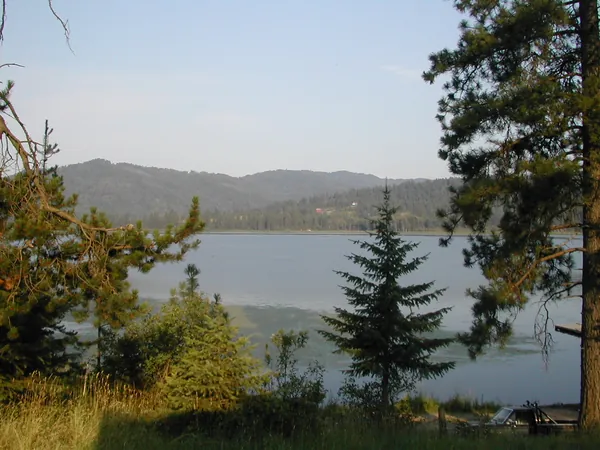 The mountain lake seen through evergreen trees.