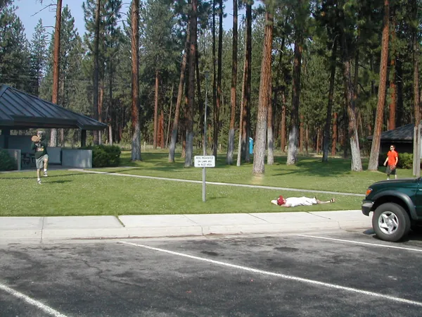 A quiet lawn and parking area at a mountain stop.