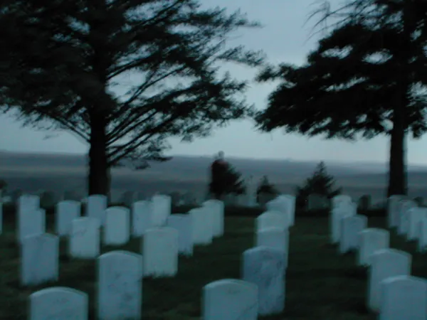 Rows of markers beneath tall trees.