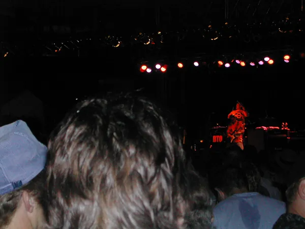 Another view across the nighttime crowd.
