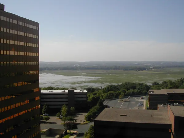 A morning city view from an upper floor.