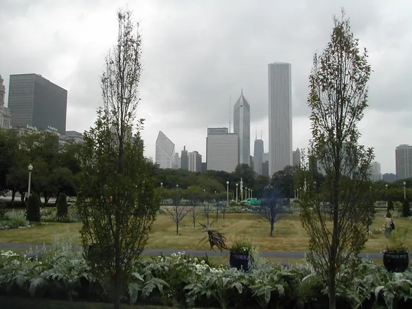 The skyline rising beyond park trees.