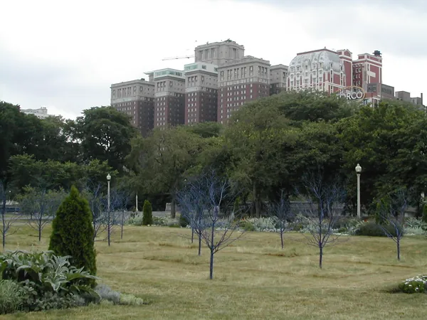A park lawn with the skyline behind it.