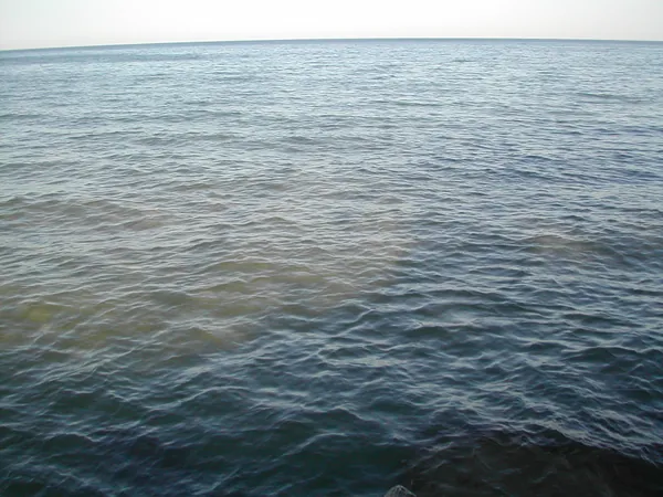Open water stretching toward the horizon.