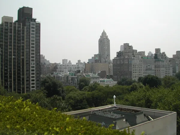 Apartment towers rising above the park.