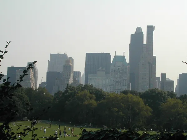 Dark towers silhouetted beyond Central Park.