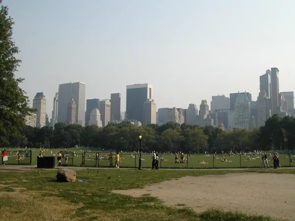 A wide lawn in Central Park.