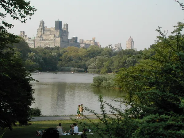 Another view across the water and trees.