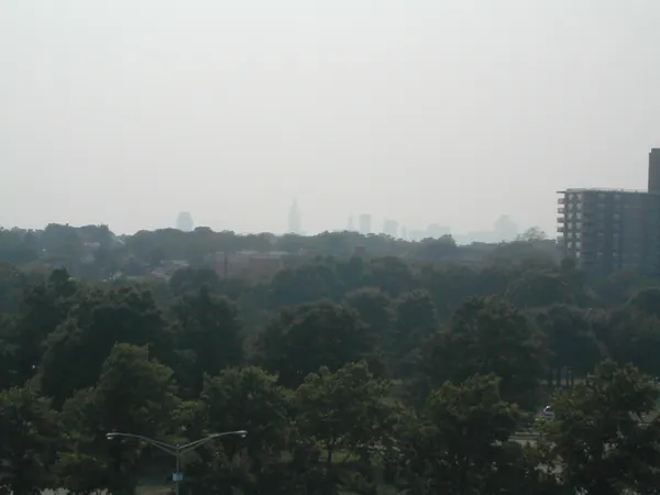 A hazy city view above the treetops.