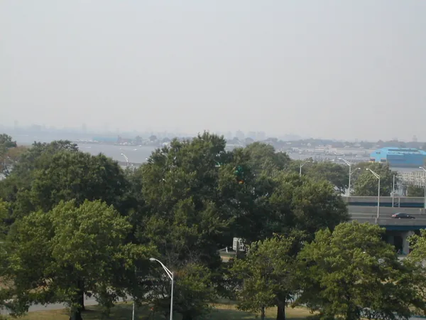 Buildings and roads visible through summer foliage.