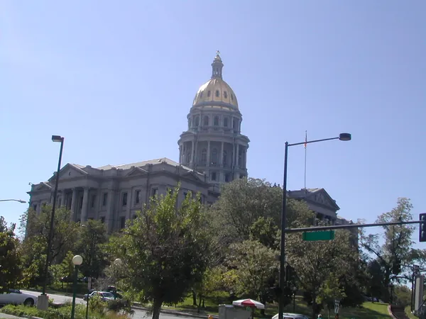 The capitol dome framed by trees and streetlights.
